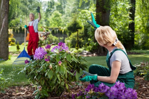 Professional lawn mowing service in a Chingford garden