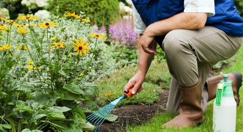 Seasonal garden planting by Chingford gardeners