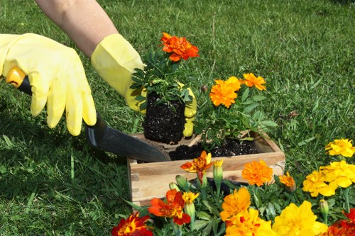 Professional landscaper designing outdoor space