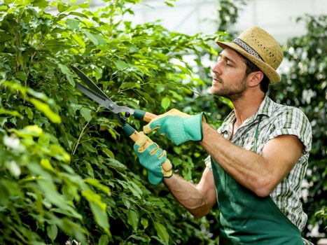 Eco-friendly lawn mowing practices in Chingford
