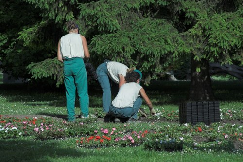 Professional gardener working on landscape design