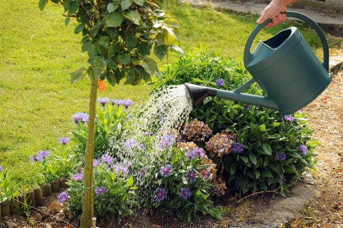 Seasonal plants in Chingford garden