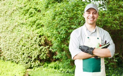 Benefits of hiring professional lawn mowers in Chingford
