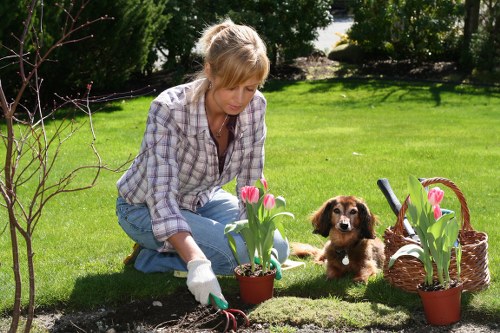 Experienced decking professionals at work