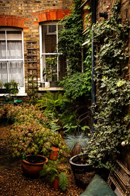 A small urban garden in Chingford E4 featuring a variety of lush, green plants including ferns, ivy, and leafy shrubs growing along the brick and timber walls of a traditional brick cottage. The garde